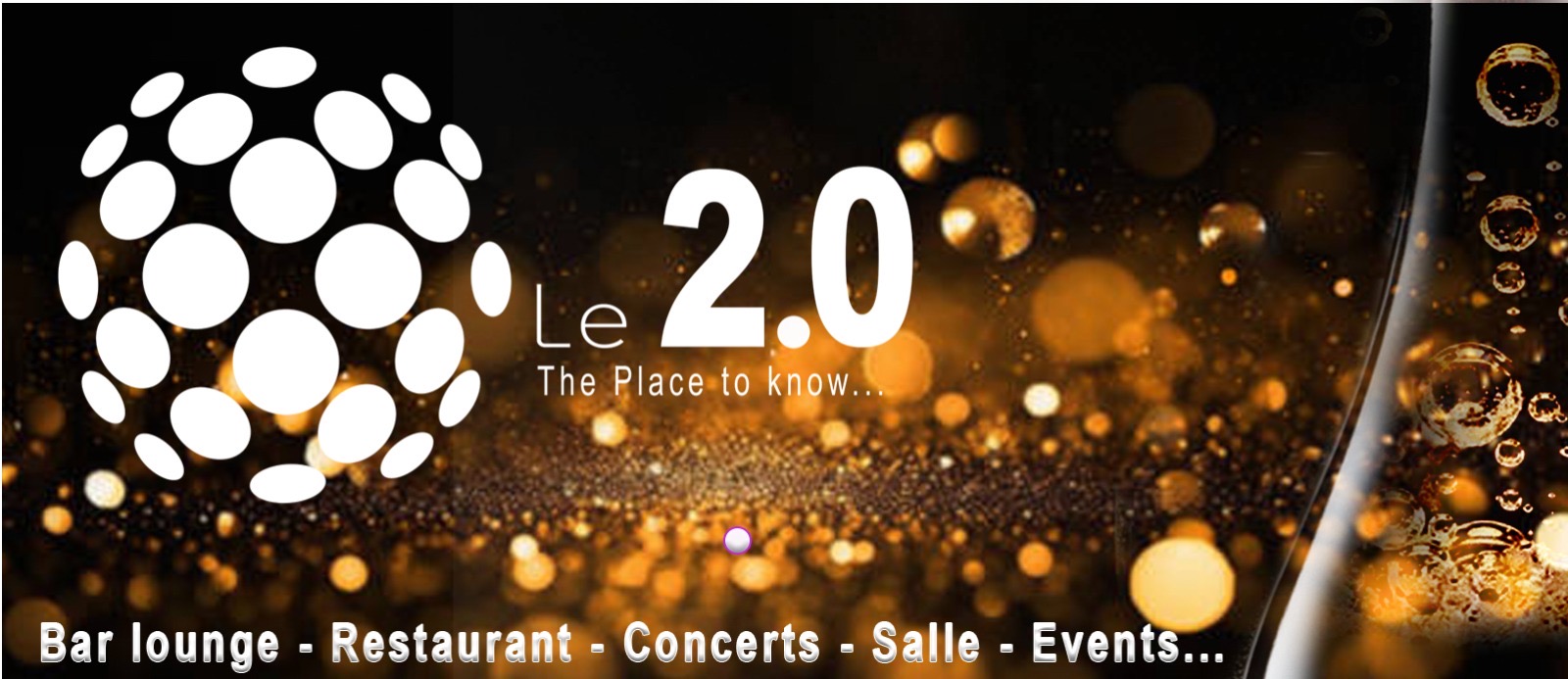 Organizer logo