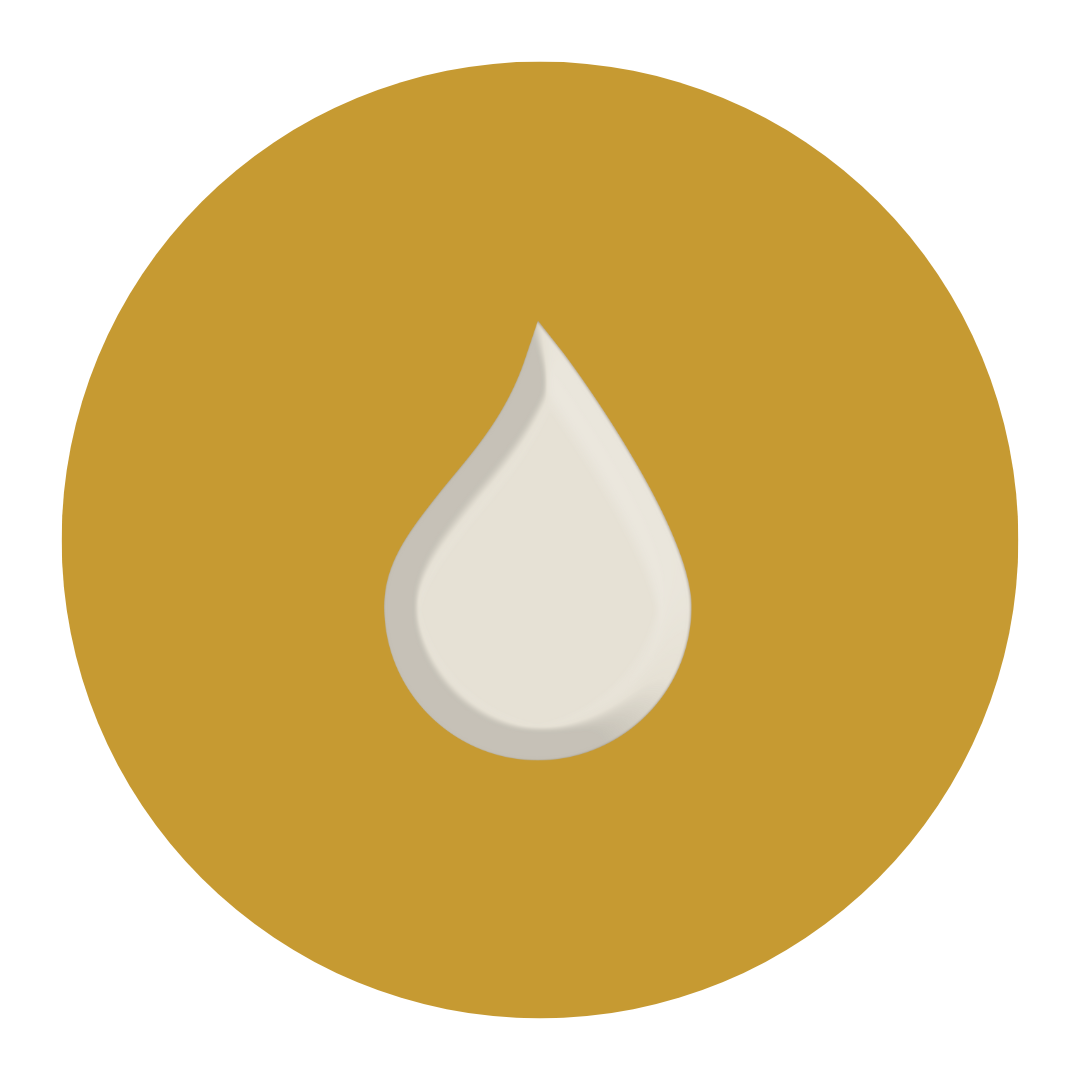 Organizer logo