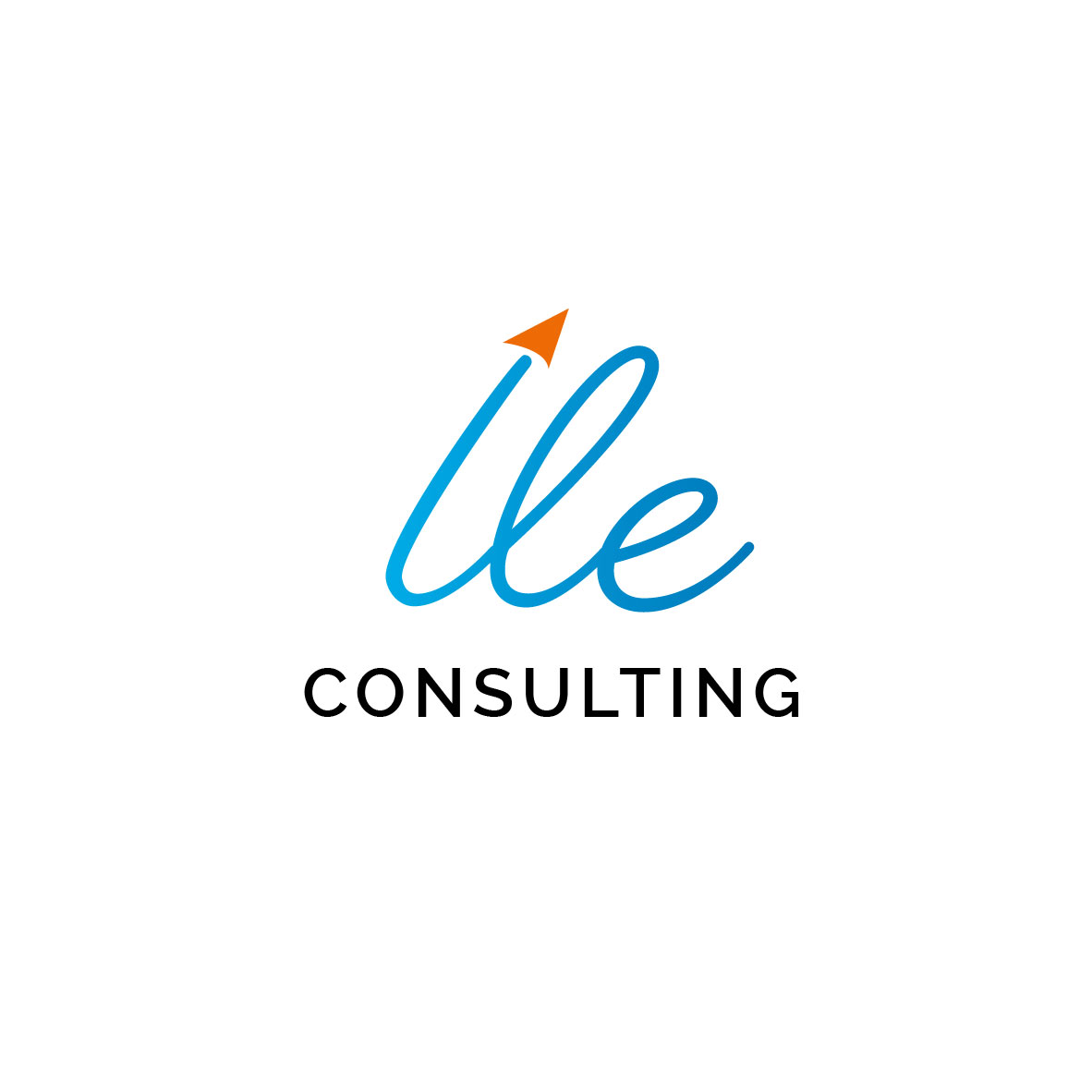 Organizer logo