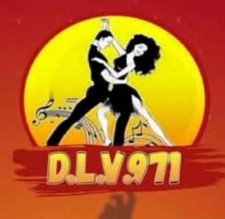 Organizer logo